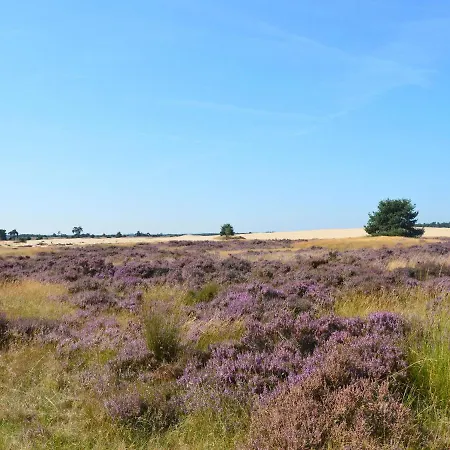 Holiday home Modern Holiday With Private Terrace In Ede Netherlands